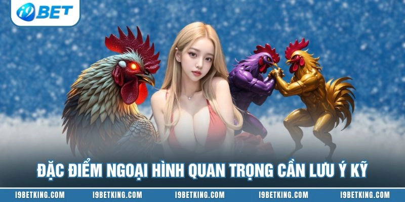 Đặc điểm ngoại hình quan trọng cần lưu ý kỹ