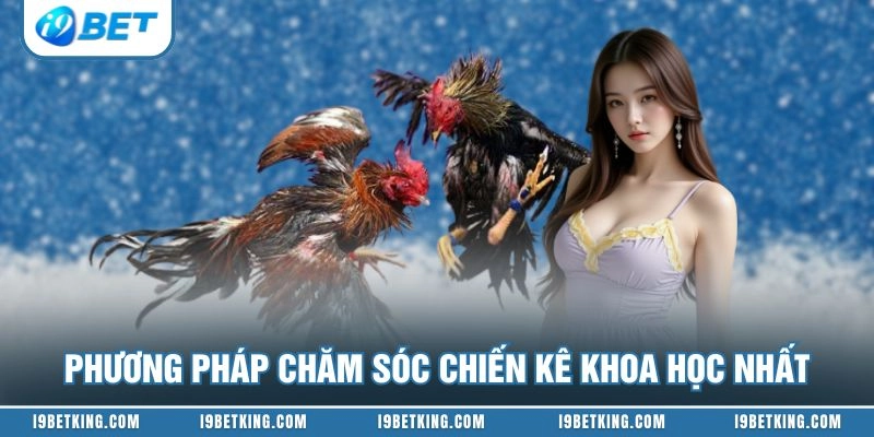 Phương pháp chăm sóc chiến kê khoa học nhất