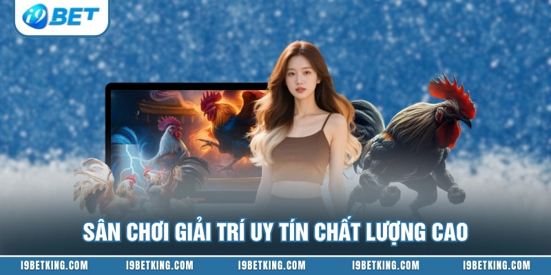 Sân chơi giải trí uy tín chất lượng cao