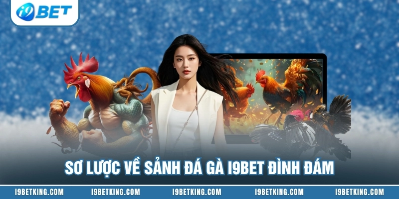Sơ lược về sảnh đá gà I9BET đình đám