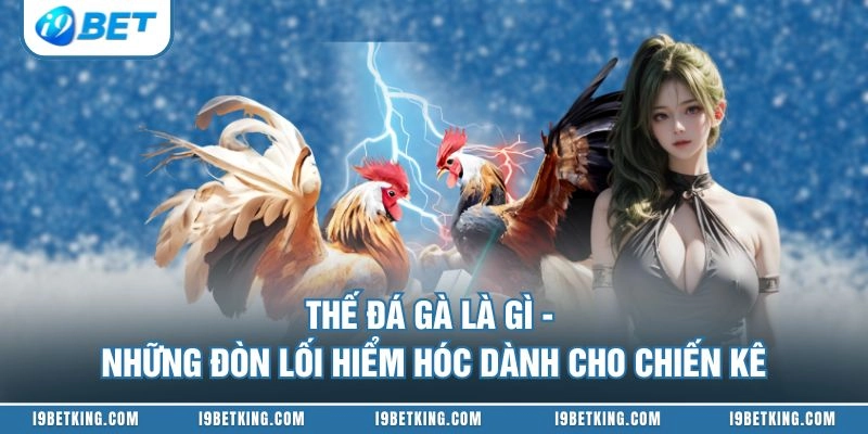 Thế Đá Gà Là Gì - Những Đòn Lối Hiểm Hóc Dành Cho Chiến Kê