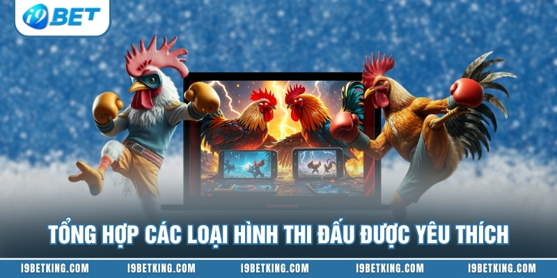 Tổng hợp các loại hình thi đấu được yêu thích