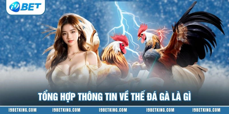 Tổng hợp thông tin về thế đá gà là gì